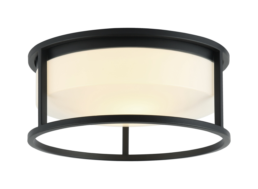 Framerton Matte Black Ceiling Mount