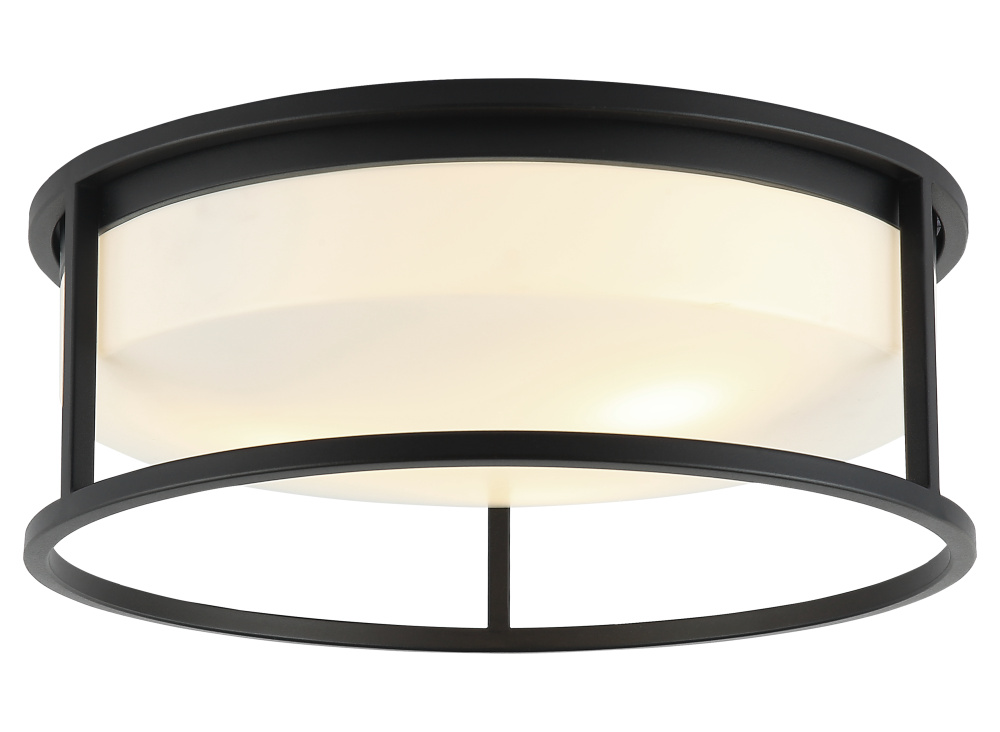 Framerton Matte Black Ceiling Mount